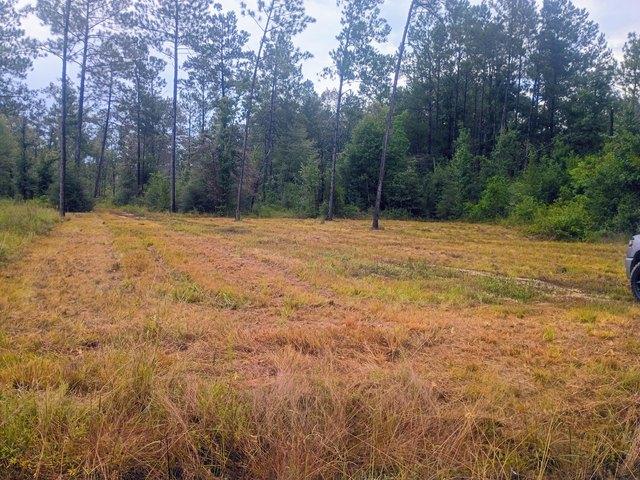 Land for sale in Merryville, Beauregard Parish
