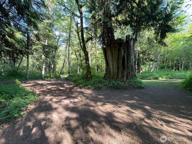 Land for sale in Puyallup, Washington