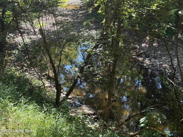 Land for sale in Lawrenceburg, Kentucky