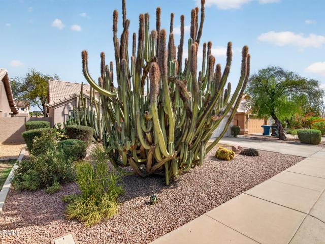 House for sale in Chandler, Arizona