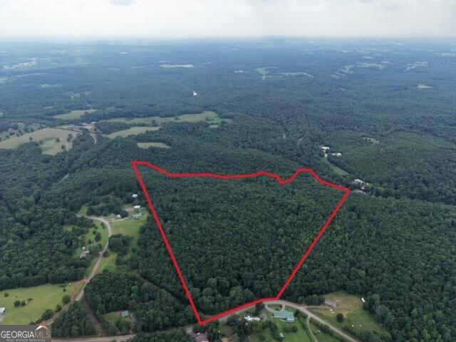 Land for sale in Danielsville, Georgia