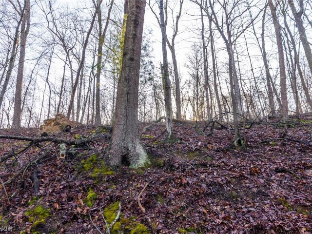 Land for sale in Ohio