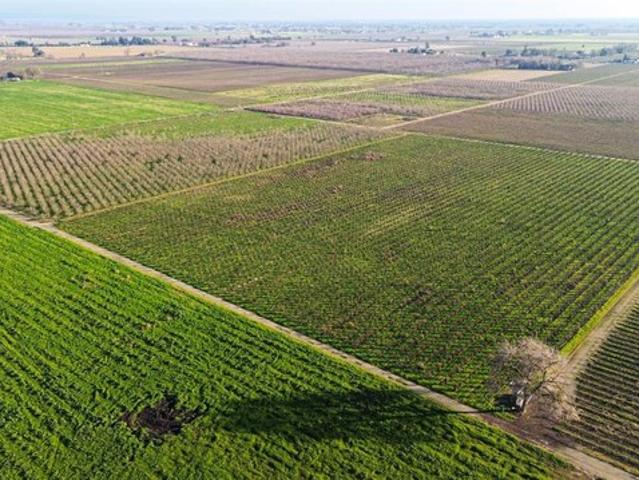 Land for sale in Lodi, California