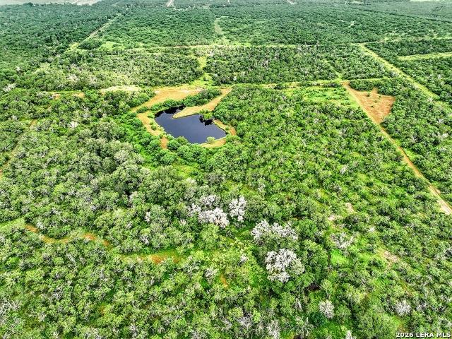 Farm for sale in Wilson, Texas