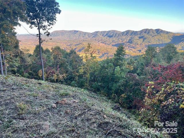Land for sale in Black Mountain, North Carolina