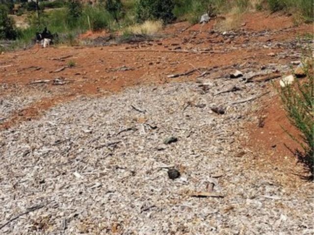 Land for sale in Butte, California