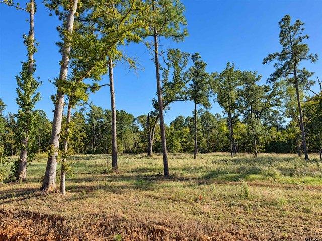 Land for sale in Flint, Smith County