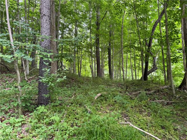 Land for sale in New York