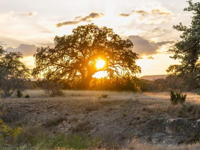 Farm for sale in Utopia, Texas