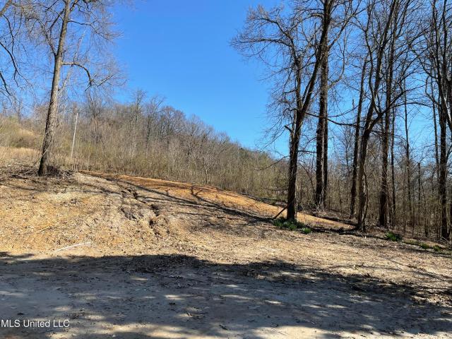 Land for sale in Tate, Mississippi