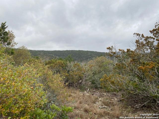 Land for sale in Camp Wood, Texas