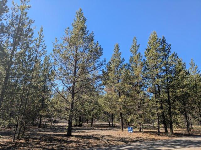 Land for sale in La Pine, Deschutes County