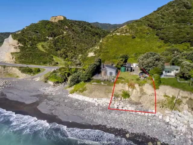 House for sale in Cape Palliser, Wellington