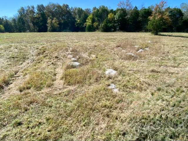 Land for sale in Tennessee