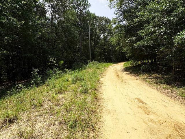 Land for sale in Citronelle, Alabama