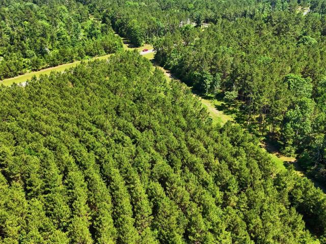 Land for sale in Willis, Texas