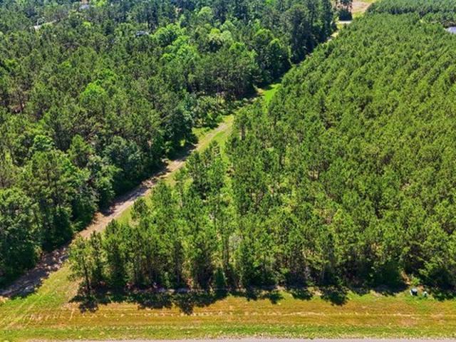 Land for sale in Willis, Texas