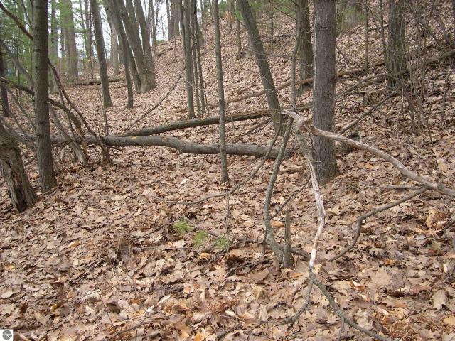Land for sale in Traverse City, Michigan