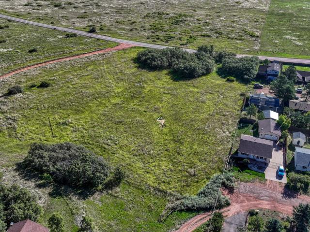 Property for sale in Palmer Lake, Colorado