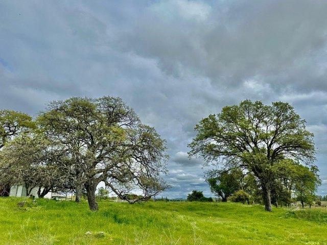 Land for sale in Angels Camp, California