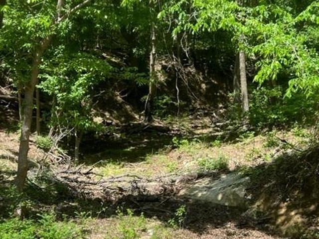 Land for sale in Ellis, Texas