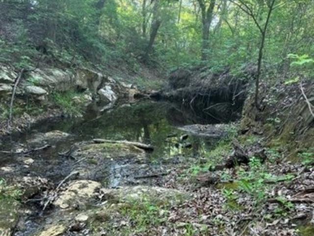 Land for sale in Johnson, Texas