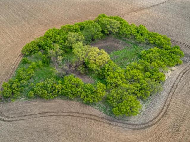 Land for sale in Coleman, Texas