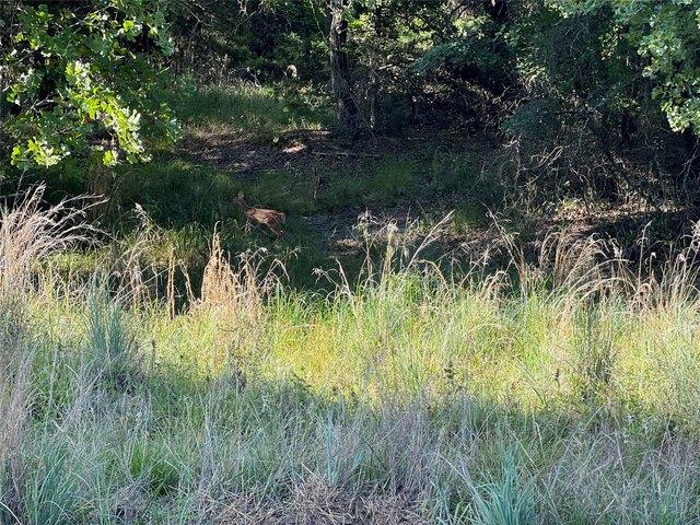 Land for sale in Nocona, Texas