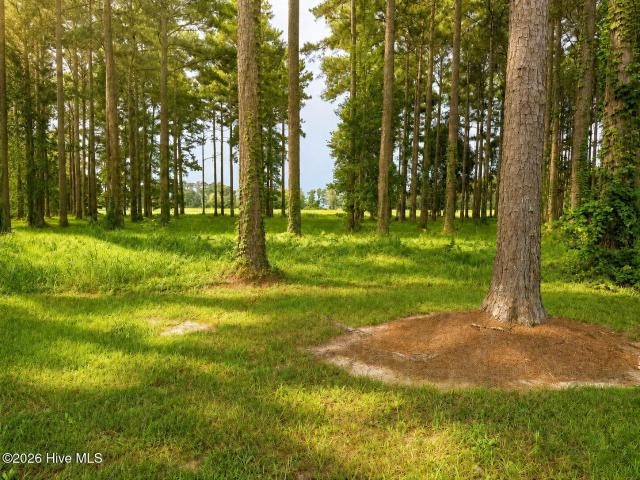 Land for sale in Oriental, Pamlico County