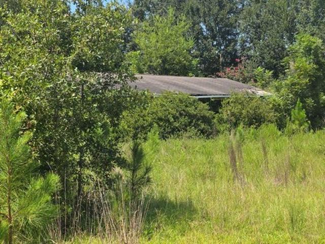 House for sale in Colquitt, Miller County