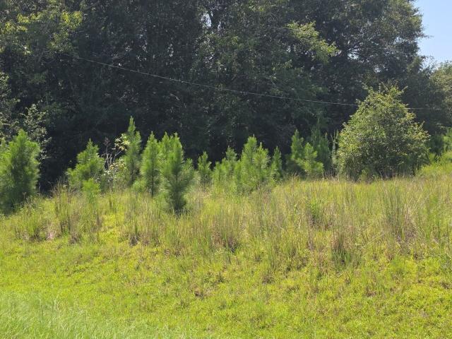 House for sale in Colquitt, Miller County