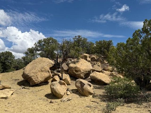 Land for sale in Pie Town, Catron County