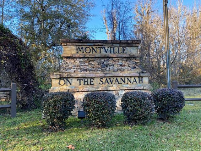 Land for sale in Waynesboro, Georgia
