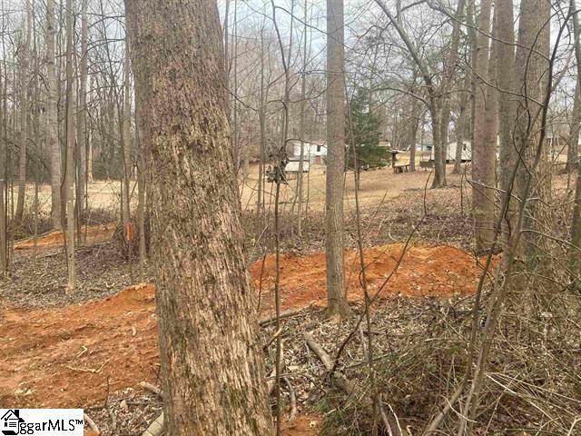 Property for sale in Duncan, South Carolina