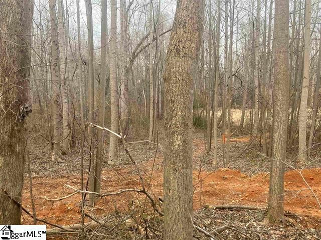 Land for sale in Duncan, South Carolina