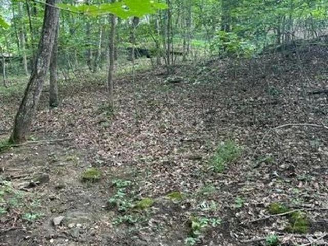 Land for sale in Tennessee