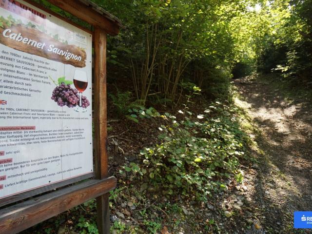 Grundstück kaufen in Obervellach, Kärnten