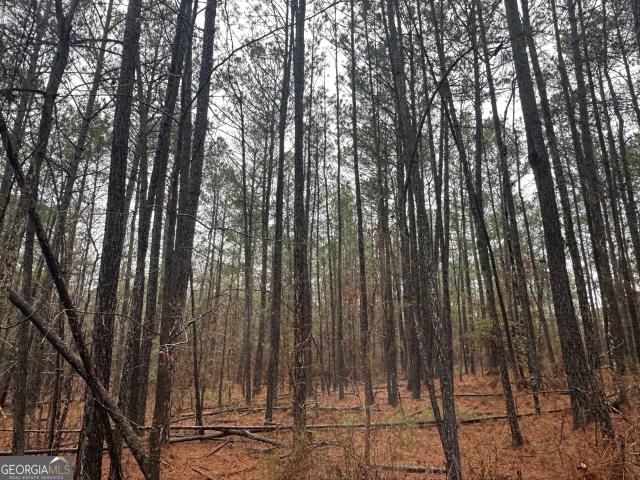 Land for sale in Pine Mountain, Georgia