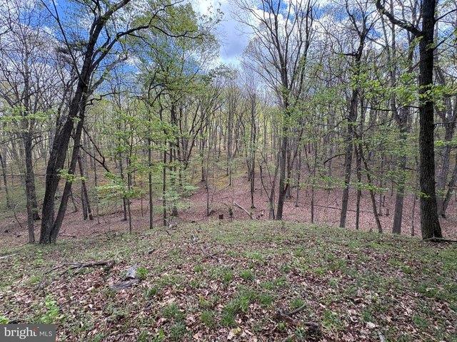 Land for sale in Romney, West Virginia