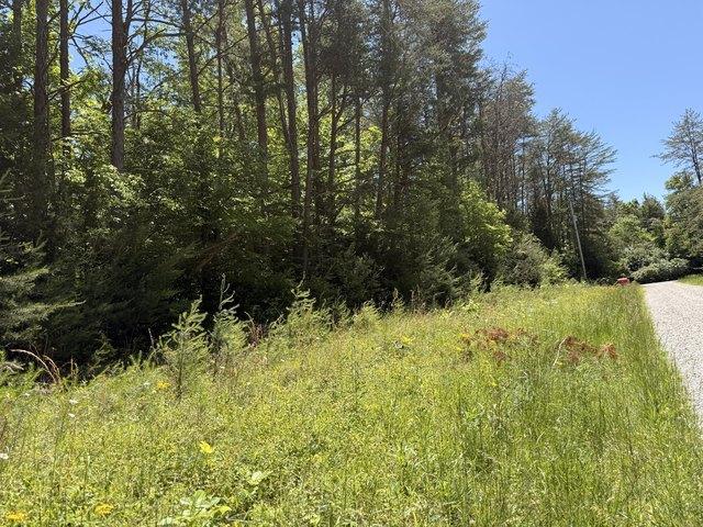 Land for sale in Nancy, Kentucky