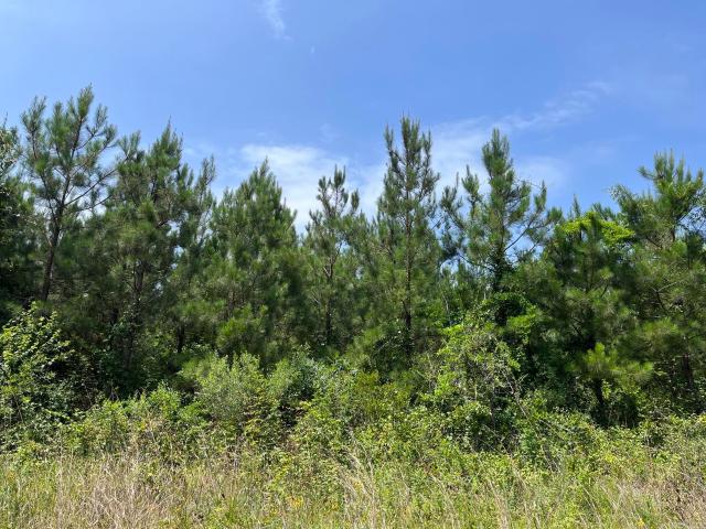 Land for sale in Huttig