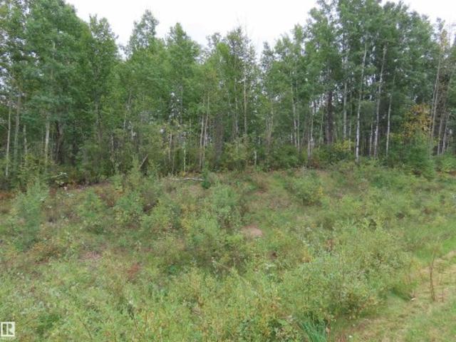Land for sale in Alberta