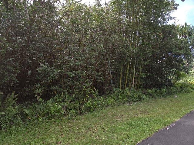 Land for sale in Pahoa, Hawaiʻi County