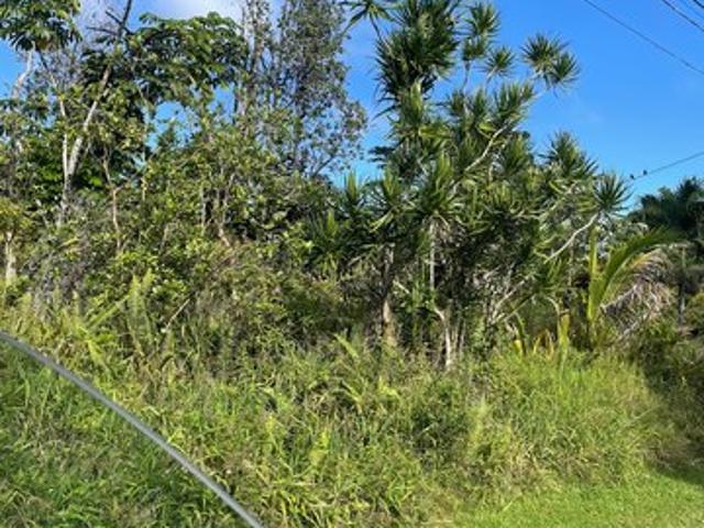 Land for sale in Pahoa, Hawaiʻi County