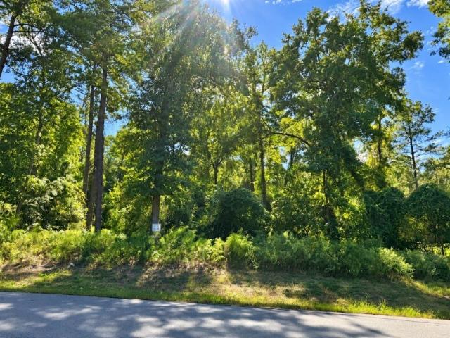 Land for sale in Huntsville, Walker County