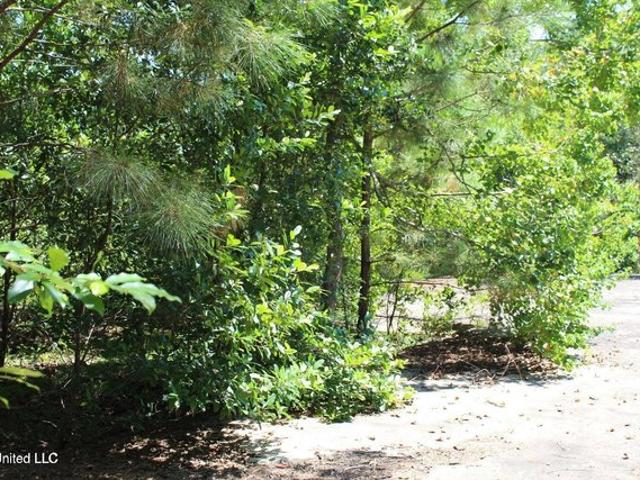 Land for sale in Lucedale, Mississippi