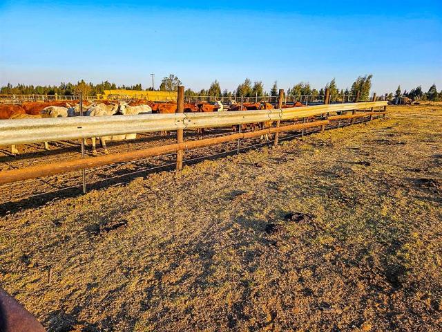 Farm for sale in Sundra, Mpumalanga