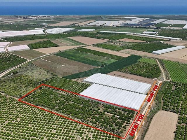 Silifke, Mersin içerisinde satılık mülk
