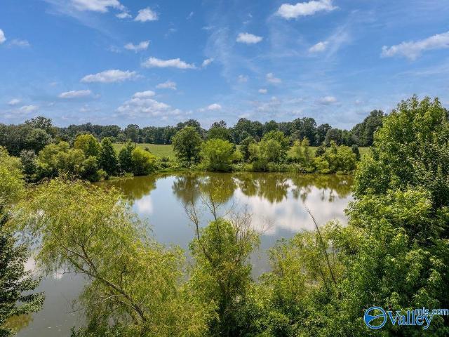 Land for sale in Henagar, Alabama
