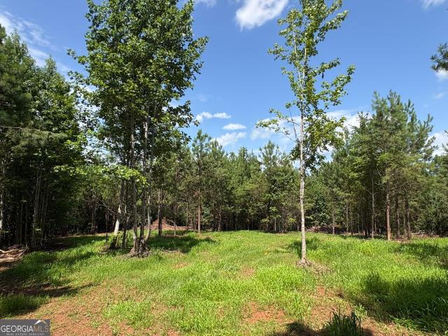 Land for sale in Woodland, Talbot County